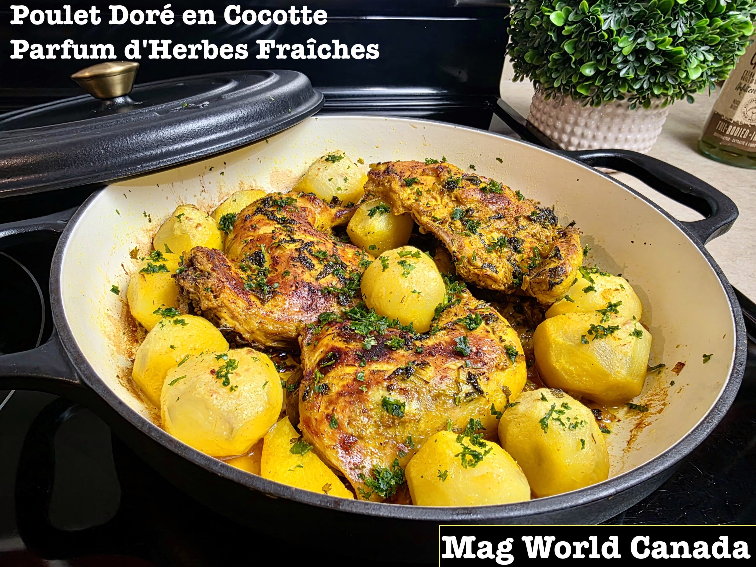 Cocotte de Poulet aux Pommes Fondantes